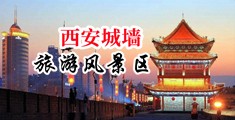外国人男女操逼视频中国陕西-西安城墙旅游风景区